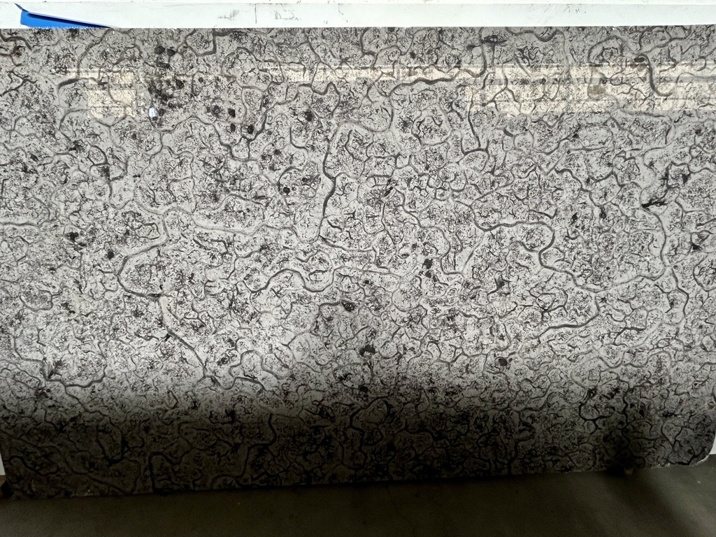 Crocodile Grey