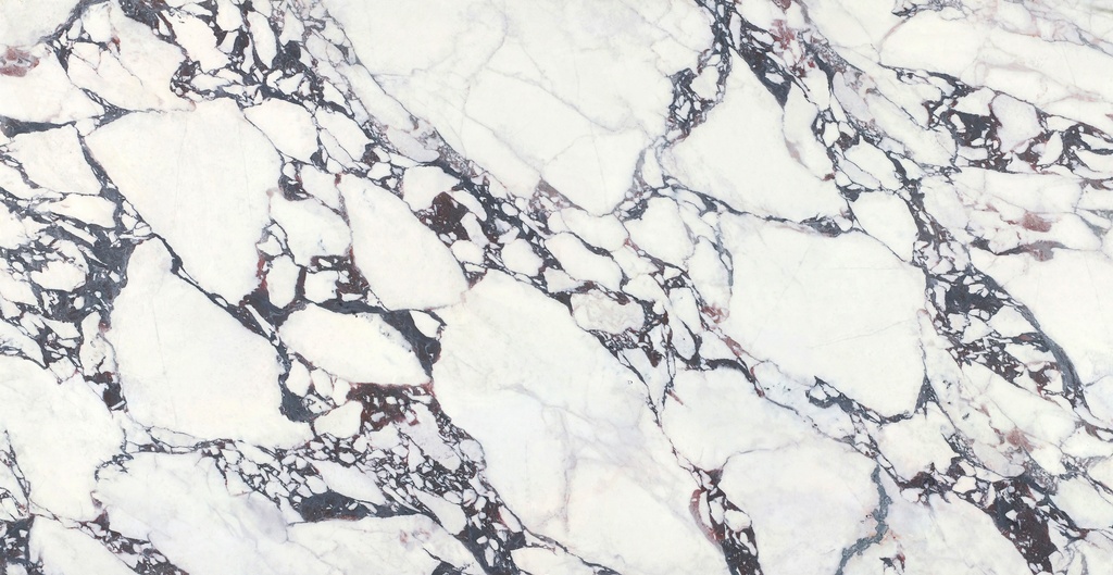 Venatino Viola (T3070) 