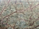 Rain Forest Green