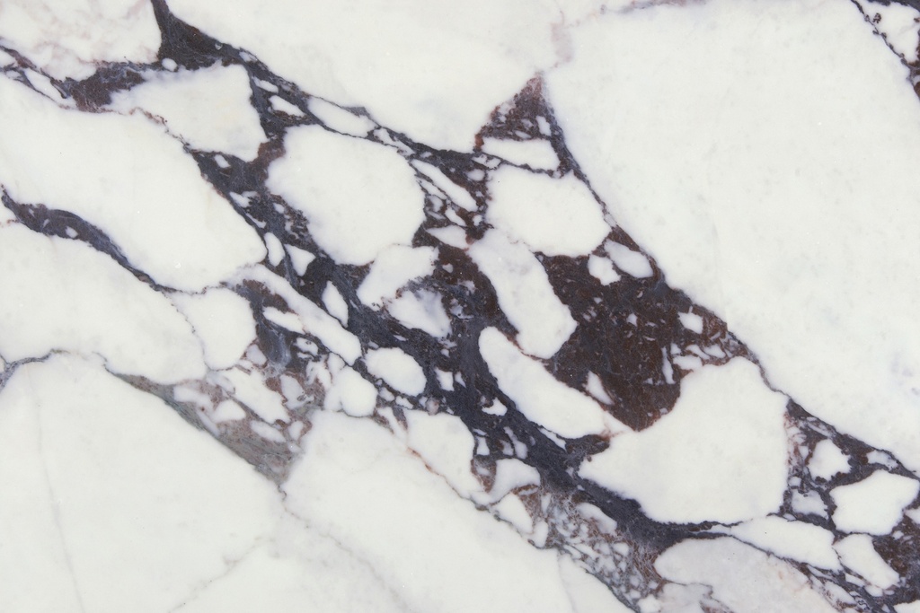 Venatino Viola (T3070) 