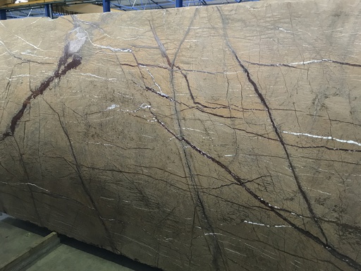 Rain Forest Gold - Anticato