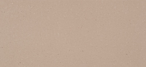 Shitake (4230) - gepolijst