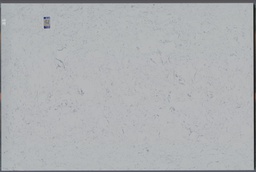 Carrara C - gepolijst