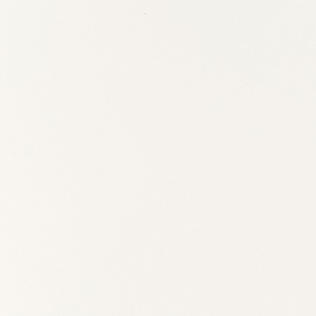 Frosty White (T110) - Velvet