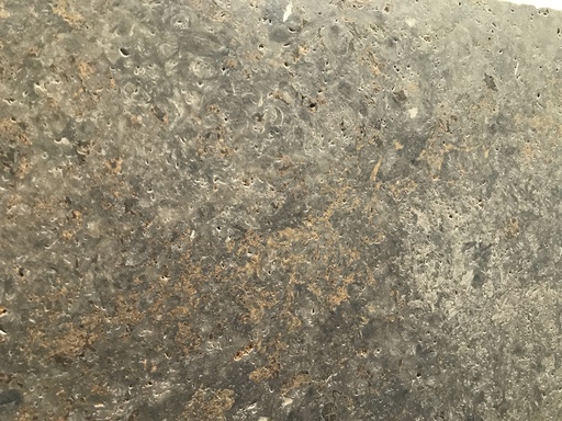 Muschelkalk 60 - Geschuurd