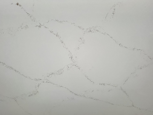 Venatino Miami Gold (T2053) - gepolijst