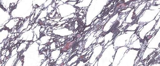 Calacatta Viola - Full lappato