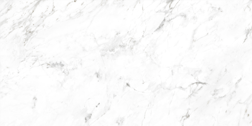 Carrara Ice (914 S) - silk