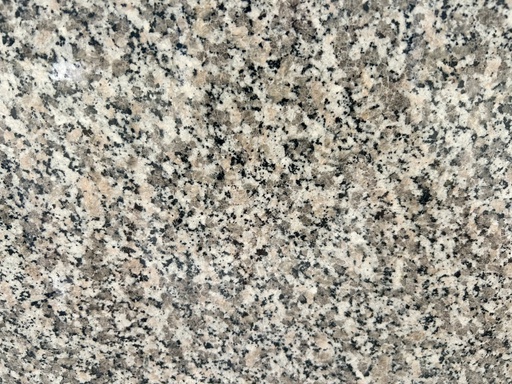 Rose Sardo - gepolijst