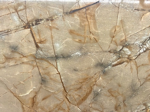 Palomina Roma - leather